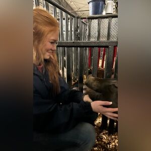 Meet your Posher, Alyson